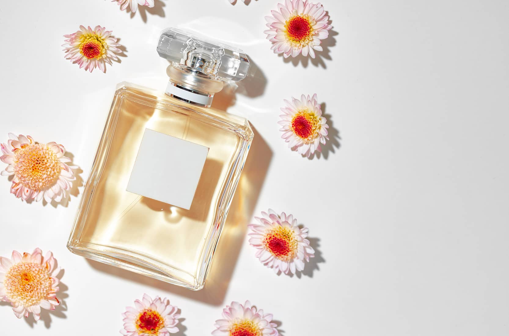 Fine Fragrances